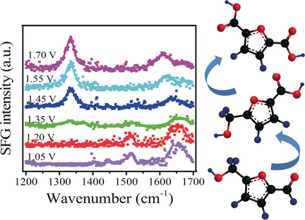 Electrochemical Oxidation of 5-Hydroxymethylfurfural on Nickel Nitride/Carbon Nanosheets: Reaction Pathway Determined by In Situ Sum Frequency Generation Vibrational Spectroscopy