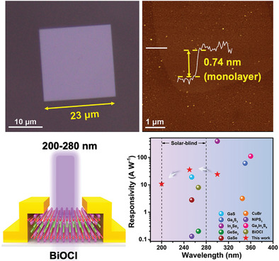 Atomically Thin Oxyhalide Solar-Blind Photodetectors