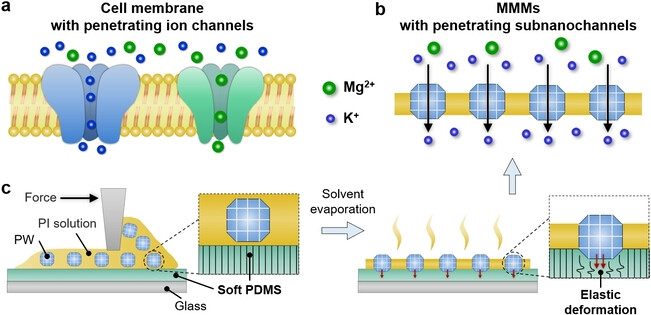 Mixed Matrix Membrane with Penetrating Subnanochannels: A Versatile Nanofluidic Platform for Selective Metal Ion Conduction