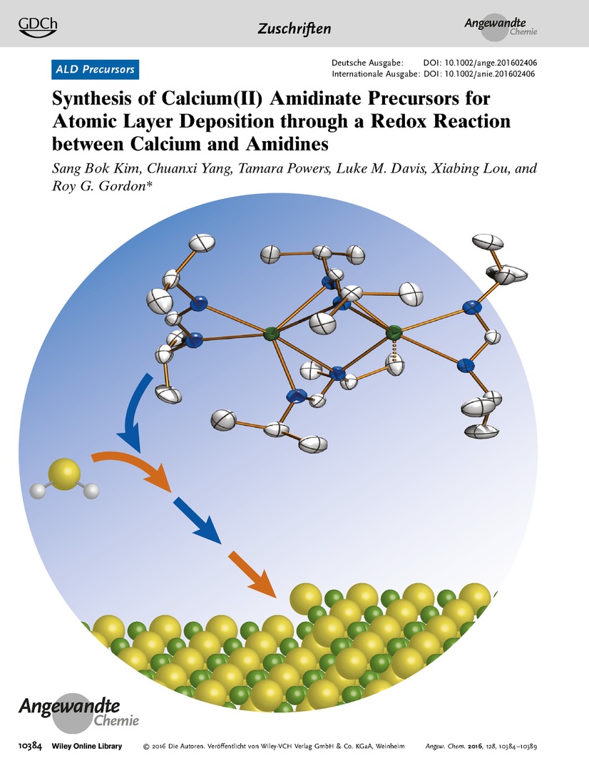 Frontispiz: Synthesis of Calcium(II) Amidinate Precursors for Atomic Layer Deposition through a Redox Reaction between Calcium and Amidines Volume 128 Issue 35, 2016