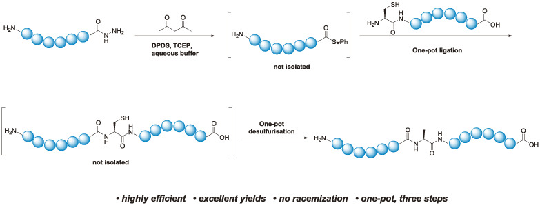 Preparation of Peptide Selenoesters from Their Corresponding Acyl Hydrazides†
