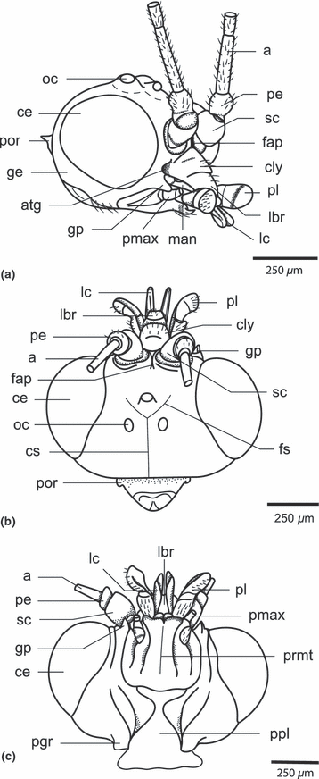 Details are in the caption following the image Details are in the caption following the image