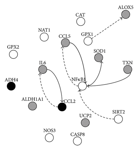 Details are in the caption following the image Details are in the caption following the image
