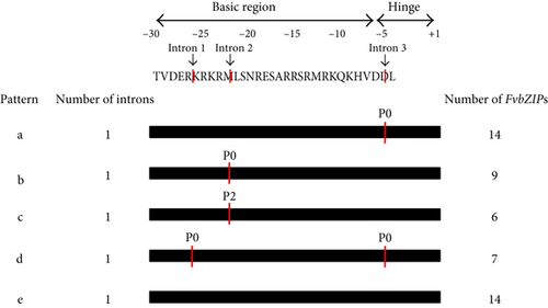 Details are in the caption following the image Details are in the caption following the image