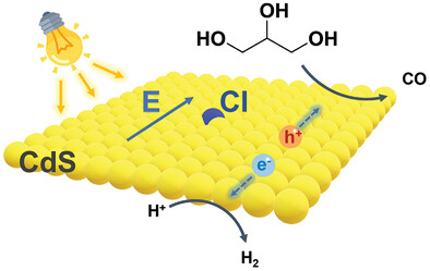 Chloride Adsorbates Enhance the Photocarrier Separation and Promote the Bio-Syngas Evolution