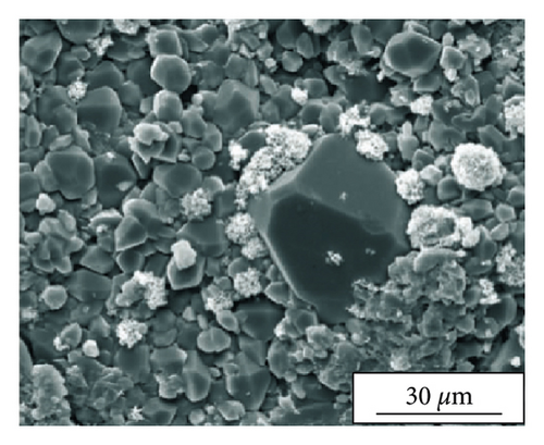 Details are in the caption following the image