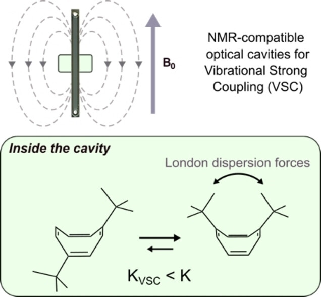 Direct Observation of Polaritonic Chemistry by Nuclear Magnetic Resonance Spectroscopy