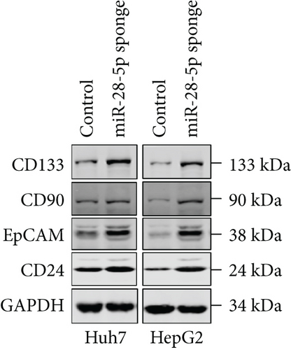Details are in the caption following the image