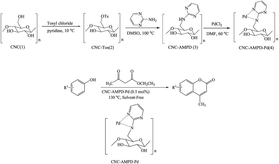 Recyclable cellulose nanocrystal supported Palladium nanoparticles as an efficient heterogeneous catalyst for the solvent-free synthesis of coumarin derivatives via von Pechmann condensation