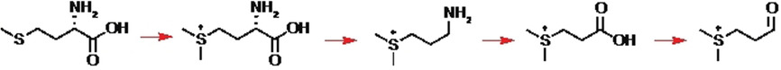 In Vitro Reconstitution of Bacterial DMSP Biosynthesis