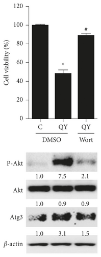Details are in the caption following the image