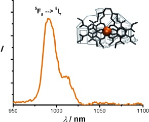 A Single Sensitizer for the Excitation of Visible and NIR Lanthanide Emitters in Water with High Quantum Yields