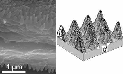 Optimization of moth-eye antireflection schemes for silicon solar cells