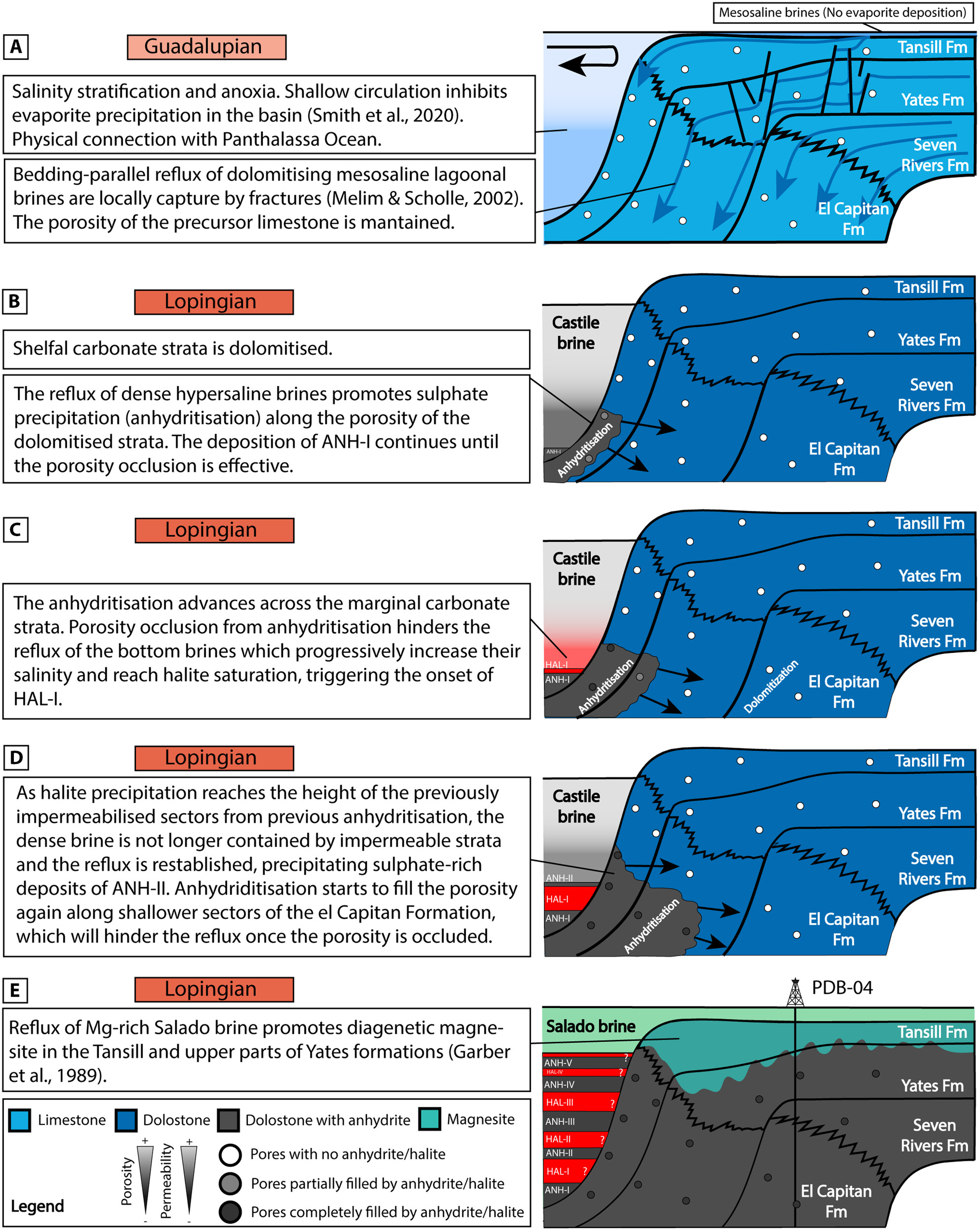 The role of refluxing deep hypersaline brines and evaporite precipitation dynamics in the Castile Formation and marginal carbonate strata (Delaware Basin, USA)