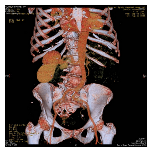 Details are in the caption following the image Details are in the caption following the image