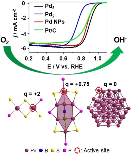 Thiolated, Reduced Palladium Nanoclusters with Resolved Structures for the Electrocatalytic Reduction of Oxygen