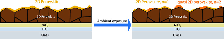 Improvement in the Performance of Inverted 3D/2D Perovskite Solar Cells by Ambient Exposure