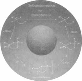 Cover Picture (Angew. Chem. Int. Ed. Engl. 23/24/1996)