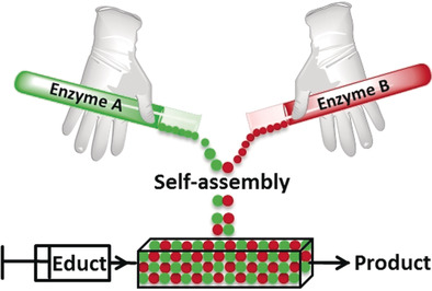 Self-Assembling All-Enzyme Hydrogels for Flow Biocatalysis
