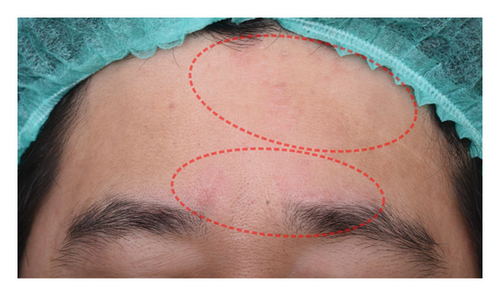 Details are in the caption following the image Details are in the caption following the image