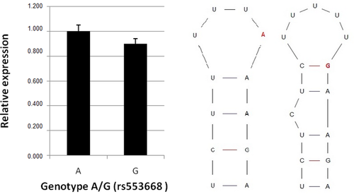 Details are in the caption following the image