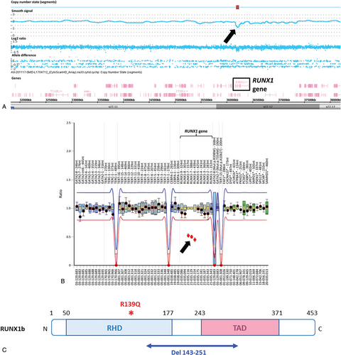 Details are in the caption following the image Details are in the caption following the image