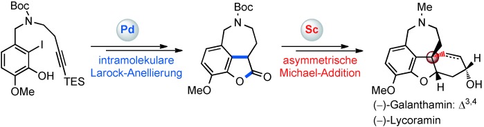 Catalytic Asymmetric Total Synthesis of (−)-Galanthamine and (−)-Lycoramine