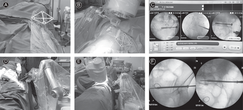 Details are in the caption following the image Details are in the caption following the image