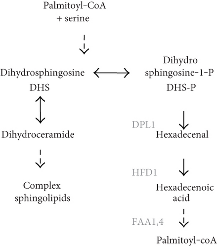 Details are in the caption following the image