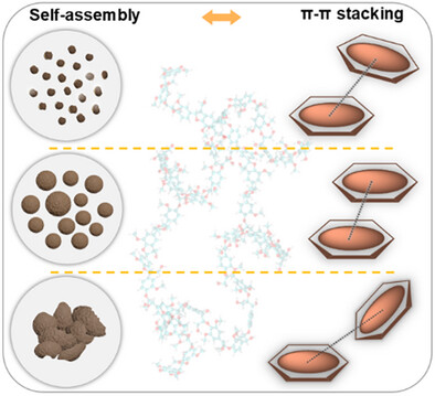Lignin Dissolution and Direct Ultrasmall-Lignin-Nanoparticle Formation in Acidic and Alkaline Deep Eutectic Solvents: A Molecular-Level Insight
