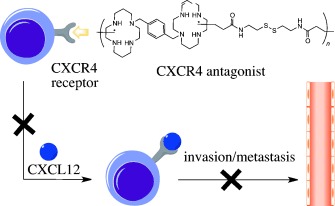 Dual-Function CXCR4 Antagonist Polyplexes To Deliver Gene Therapy and Inhibit Cancer Cell Invasion