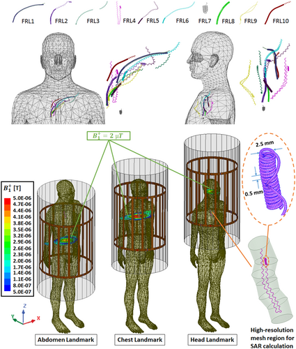 Details are in the caption following the image Details are in the caption following the image