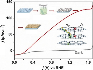 A Water-Splitting Carbon Nitride Photoelectrochemical Cell with Efficient Charge Separation and Remarkably Low Onset Potential
