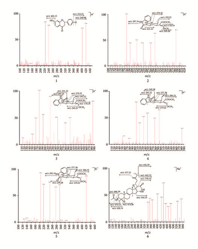 Details are in the caption following the image Details are in the caption following the image