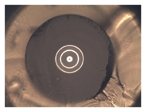Details are in the caption following the image
