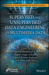 Supervised and Unsupervised Data Engineering for Multimedia Data cover image