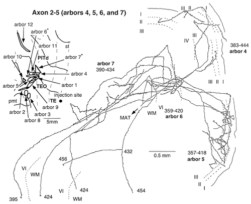 Details are in the caption following the image Details are in the caption following the image