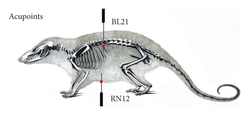 Details are in the caption following the image Details are in the caption following the image