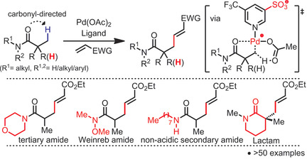 Utilizing Carbonyl Coordination of Native Amides for Palladium-Catalyzed C(sp3)−H Olefination