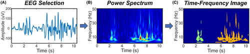 Details are in the caption following the image Details are in the caption following the image