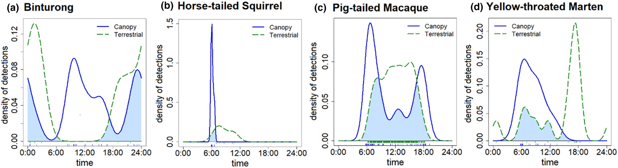 Stratified activity: Vertical partitioning of the diel cycle by rainforest mammals in Borneo