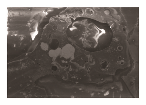 Details are in the caption following the image