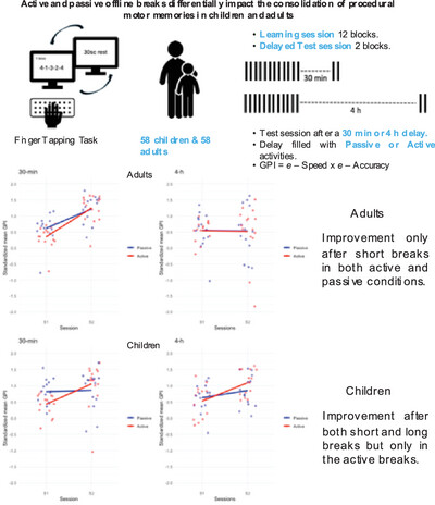 Active and Passive Offline Breaks Differentially Impact the Consolidation of Procedural Motor Memories in Children and Adults