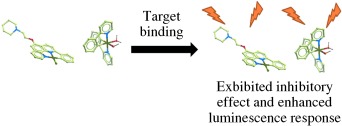 Bioactive Luminescent Transition-Metal Complexes for Biomedical Applications