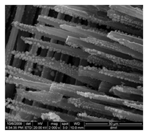 Details are in the caption following the image