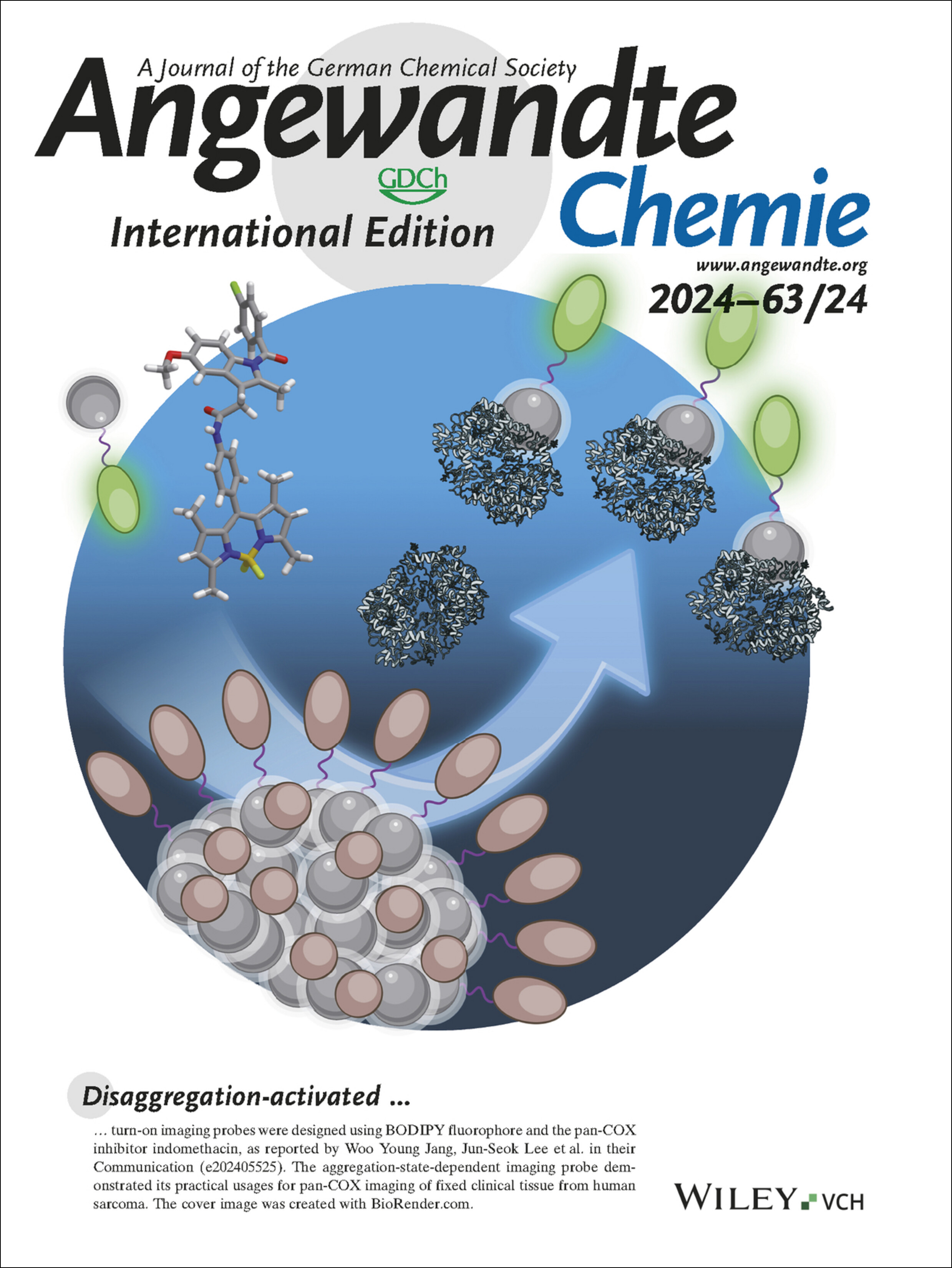 Inside Cover: Disaggregation-Activated pan-COX Imaging Agents for Human Soft tissue Sarcoma (Angew. Chem. Int. Ed. 24/2024) Volume 63 Issue 24, 2024