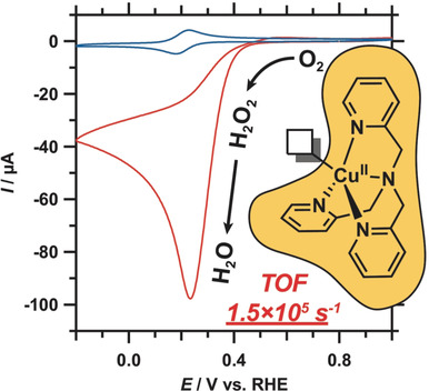 Fast Oxygen Reduction Catalyzed by a Copper(II) Tris(2-pyridylmethyl)amine Complex through a Stepwise Mechanism