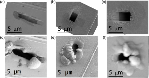 Details are in the caption following the image