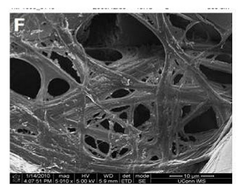 Details are in the caption following the image