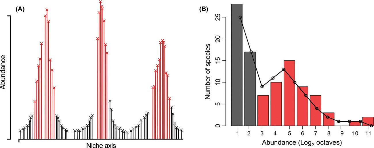 Neutral theory and the species abundance distribution: recent developments and prospects for unifying niche and neutral perspectives